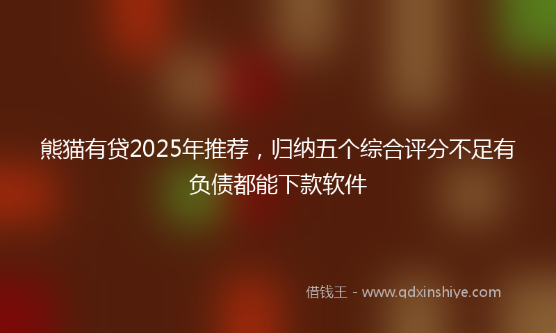 熊猫有贷2025年推荐，归纳五个综合评分不足有负债都能下款软件