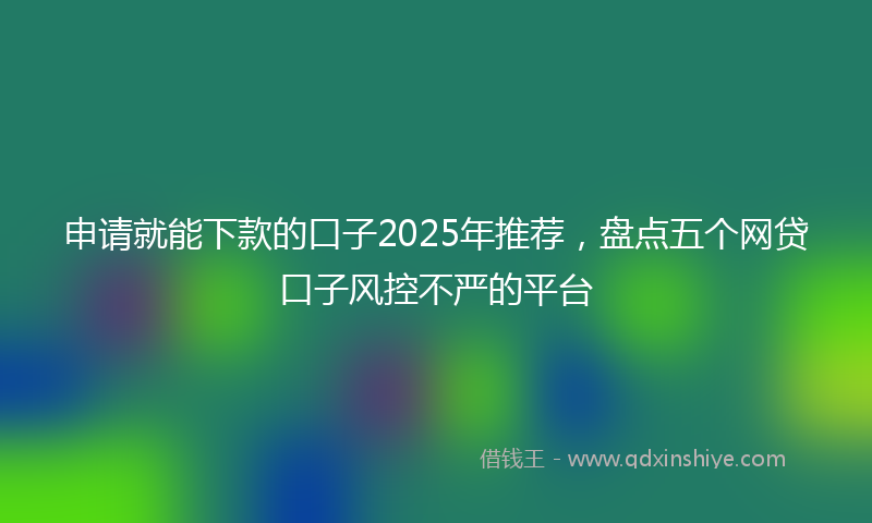 申请就能下款的口子2025年推荐，盘点五个网贷口子风控不严的平台