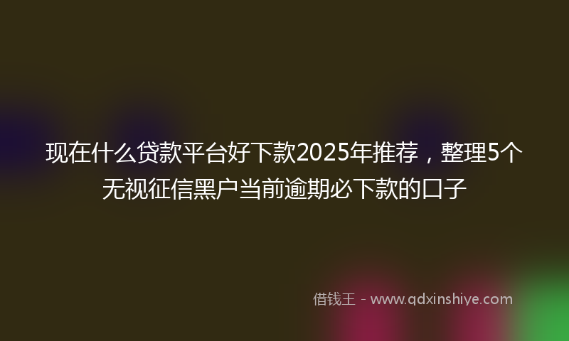 现在什么贷款平台好下款2025年推荐，整理5个无视征信黑户当前逾期必下款的口子