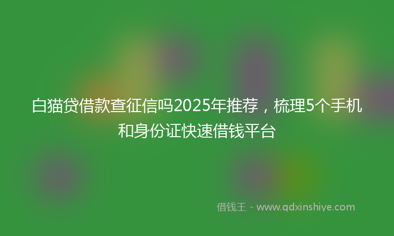 白猫贷借款查征信吗2025年推荐,梳理5个手机和身份证快速借钱平台