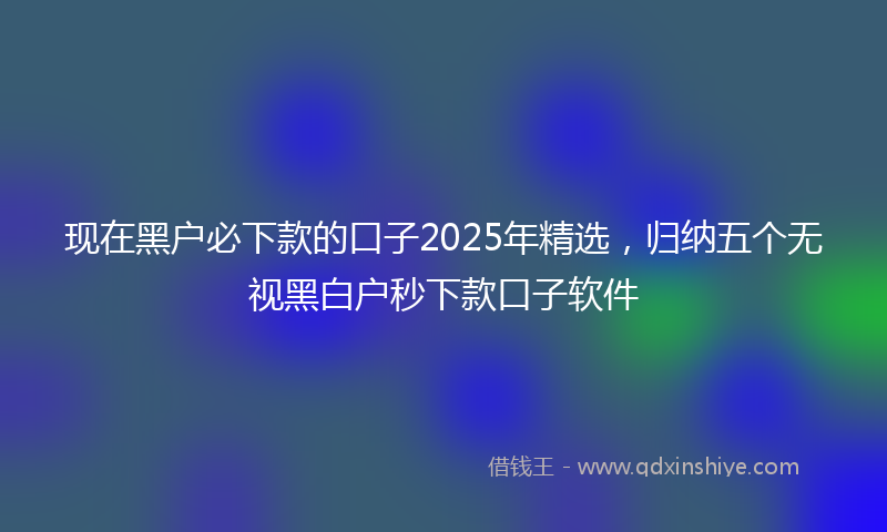 现在黑户必下款的口子2025年精选，归纳五个无视黑白户秒下款口子软件