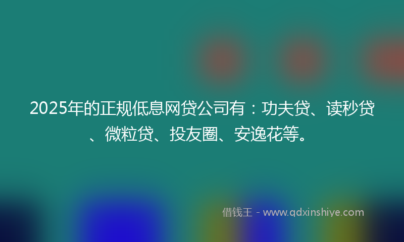 2025年的正规低息网贷公司有：功夫贷、读秒贷、微粒贷、投友圈、安逸花等。