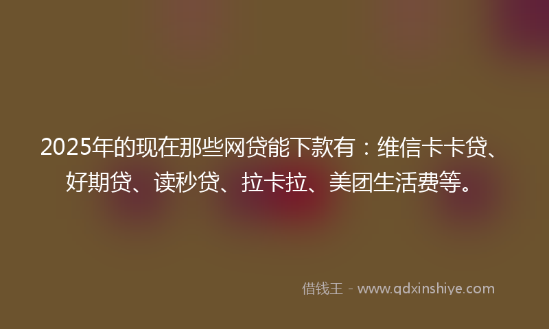 2025年的现在那些网贷能下款有：维信卡卡贷、好期贷、读秒贷、拉卡拉、美团生活费等。