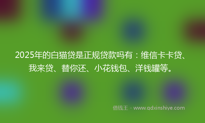 2025年的白猫贷是正规贷款吗有：维信卡卡贷、我来贷、替你还、小花钱包、洋钱罐等。