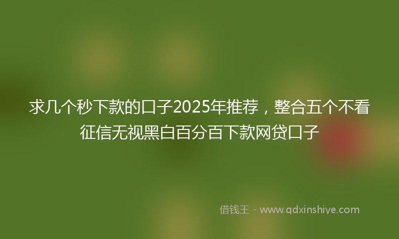 求几个秒下款的口子2025年推荐，整合五个不看征信无视黑白百分百下款网贷口子
