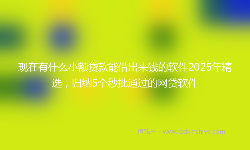 现在有什么小额贷款能借出来钱的软件2025年精选，归纳5个秒批通过的网贷软件
