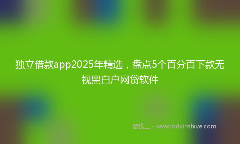 独立借款app2025年精选,盘点5个百分百下款无视黑白户网贷软件