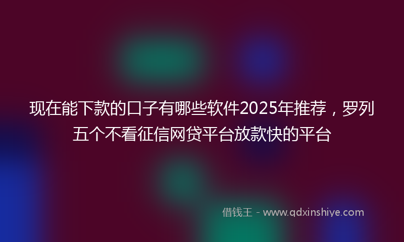 现在能下款的口子有哪些软件2025年推荐，罗列五个不看征信网贷平台放款快的平台