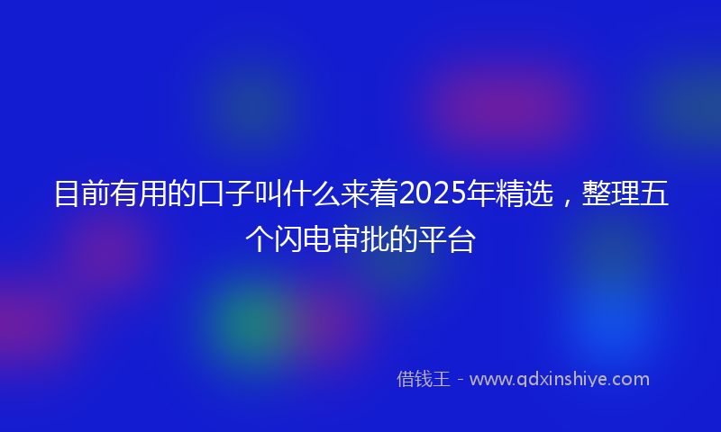 目前有用的口子叫什么来着2025年精选，整理五个闪电审批的平台