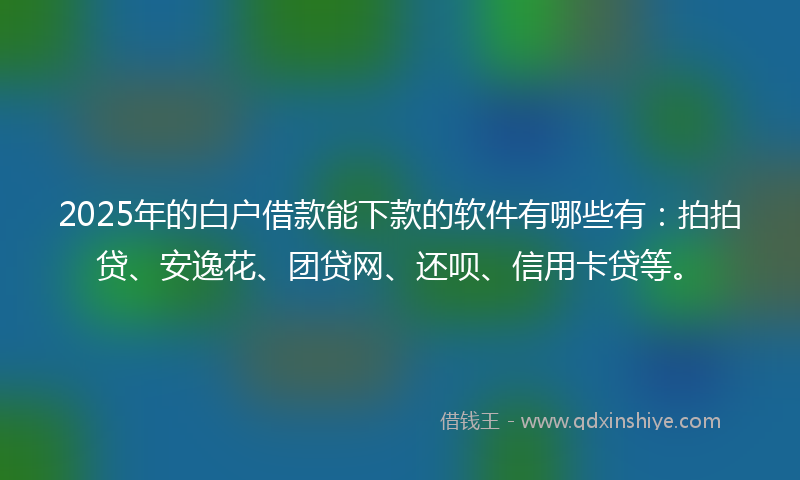 2025年的白户借款能下款的软件有哪些有：拍拍贷、安逸花、团贷网、还呗、信用卡贷等。