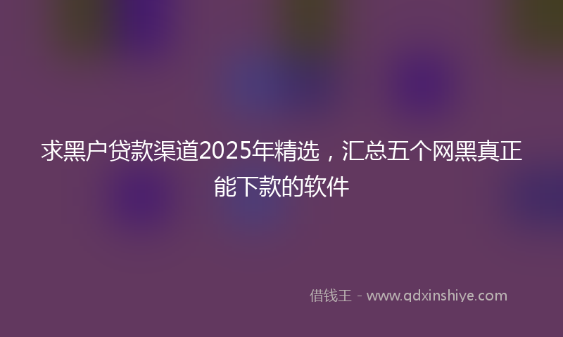 求黑户贷款渠道2025年精选，汇总五个网黑真正能下款的软件