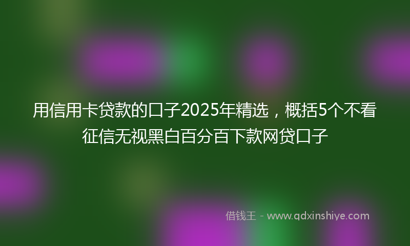用信用卡贷款的口子2025年精选，概括5个不看征信无视黑白百分百下款网贷口子