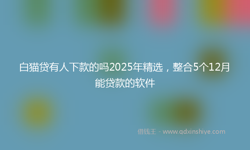 白猫贷有人下款的吗2025年精选,整合5个12月能贷款的软件