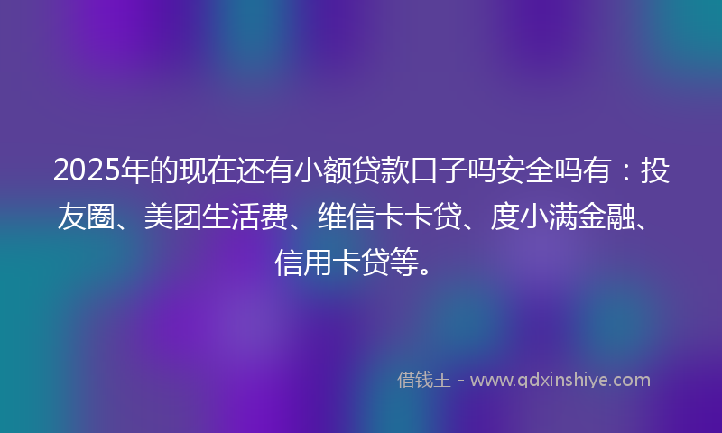 2025年的现在还有小额贷款口子吗安全吗有：投友圈、美团生活费、维信卡卡贷、度小满金融、信用卡贷等。