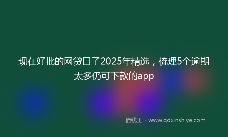 现在好批的网贷口子2025年精选,梳理5个逾期太多仍可下款的app