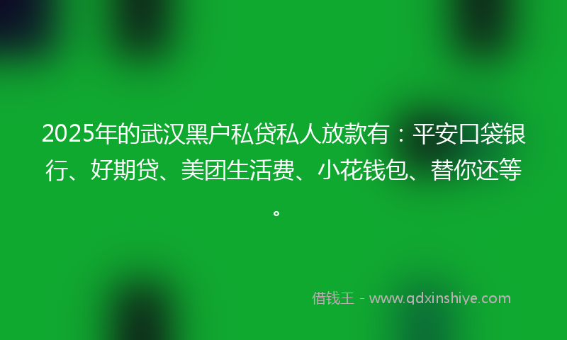 2025年的武汉黑户私贷私人放款有：平安口袋银行、好期贷、美团生活费、小花钱包、替你还等。