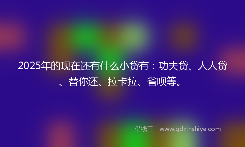 2025年的现在还有什么小贷有:功夫贷、人人贷、替你还、拉卡拉、省呗等。
