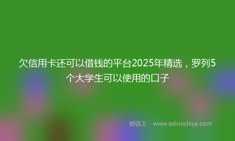 欠信用卡还可以借钱的平台2025年精选，罗列5个大学生可以使用的口子