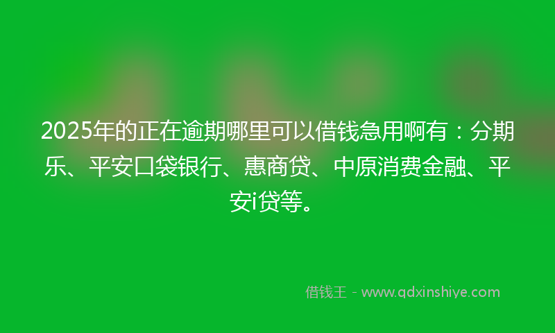 2025年的正在逾期哪里可以借钱急用啊有：分期乐、平安口袋银行、惠商贷、中原消费金融、平安i贷等。