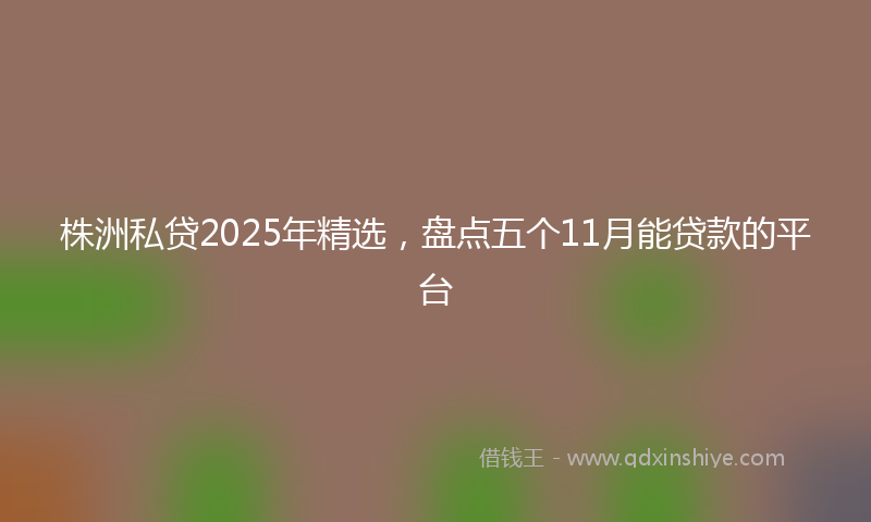 株洲私贷2025年精选，盘点五个11月能贷款的平台
