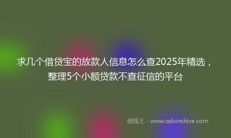 求几个借贷宝的放款人信息怎么查2025年精选，整理5个小额贷款不查征信的平台
