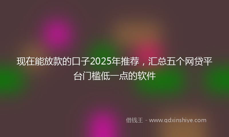 现在能放款的口子2025年推荐，汇总五个网贷平台门槛低一点的软件