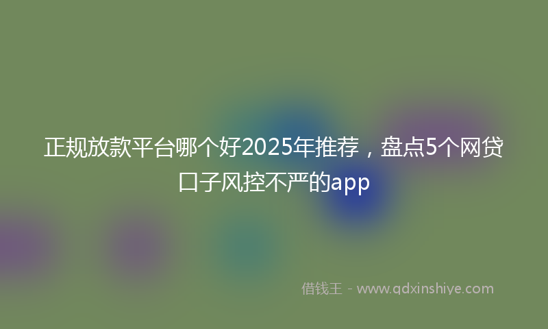 正规放款平台哪个好2025年推荐，盘点5个网贷口子风控不严的app
