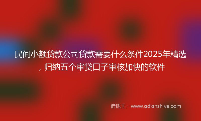 民间小额贷款公司贷款需要什么条件2025年精选，归纳五个审贷口子审核加快的软件