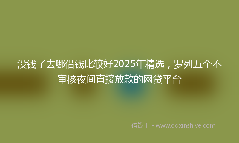 没钱了去哪借钱比较好2025年精选，罗列五个不审核夜间直接放款的网贷平台