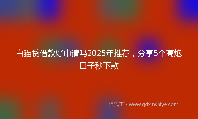 白猫贷借款好申请吗2025年推荐，分享5个高炮口子秒下款