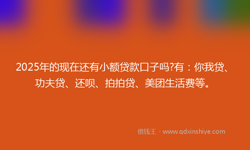 2025年的现在还有小额贷款口子吗?有：你我贷、功夫贷、还呗、拍拍贷、美团生活费等。
