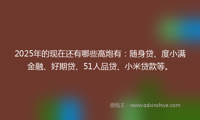 2025年的现在还有哪些高炮有：随身贷、度小满金融、好期贷、51人品贷、小米贷款等。