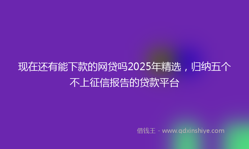 现在还有能下款的网贷吗2025年精选，归纳五个不上征信报告的贷款平台