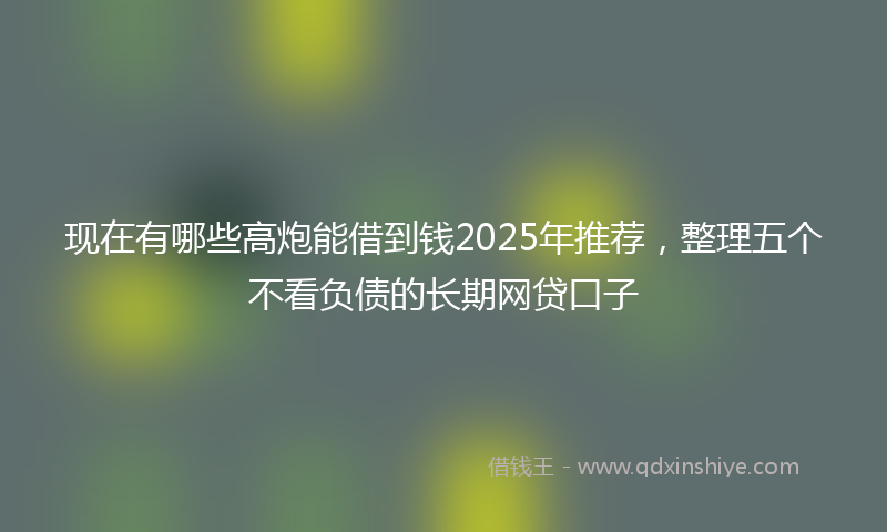 现在有哪些高炮能借到钱2025年推荐，整理五个不看负债的长期网贷口子
