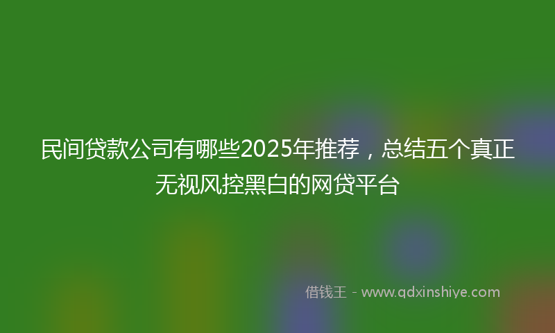 民间贷款公司有哪些2025年推荐，总结五个真正无视风控黑白的网贷平台