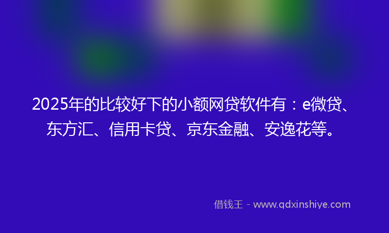 2025年的比较好下的小额网贷软件有：e微贷、东方汇、信用卡贷、京东金融、安逸花等。