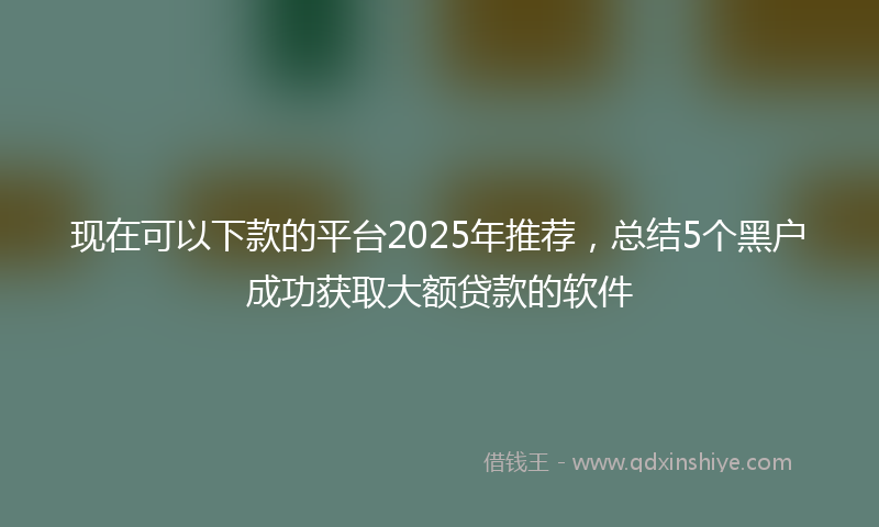 现在可以下款的平台2025年推荐，总结5个黑户成功获取大额贷款的软件