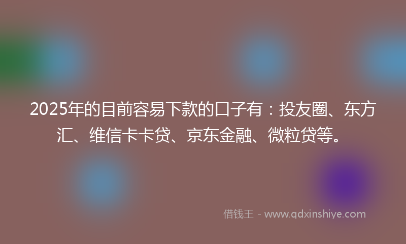 2025年的目前容易下款的口子有：投友圈、东方汇、维信卡卡贷、京东金融、微粒贷等。