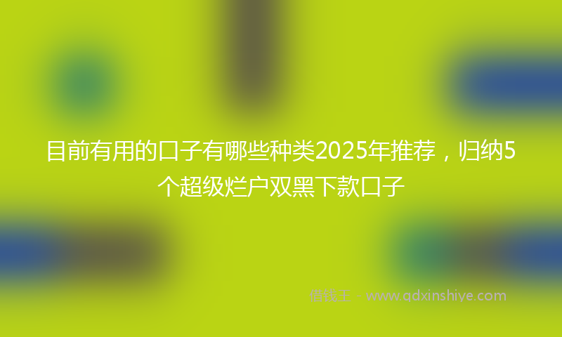 目前有用的口子有哪些种类2025年推荐，归纳5个超级烂户双黑下款口子
