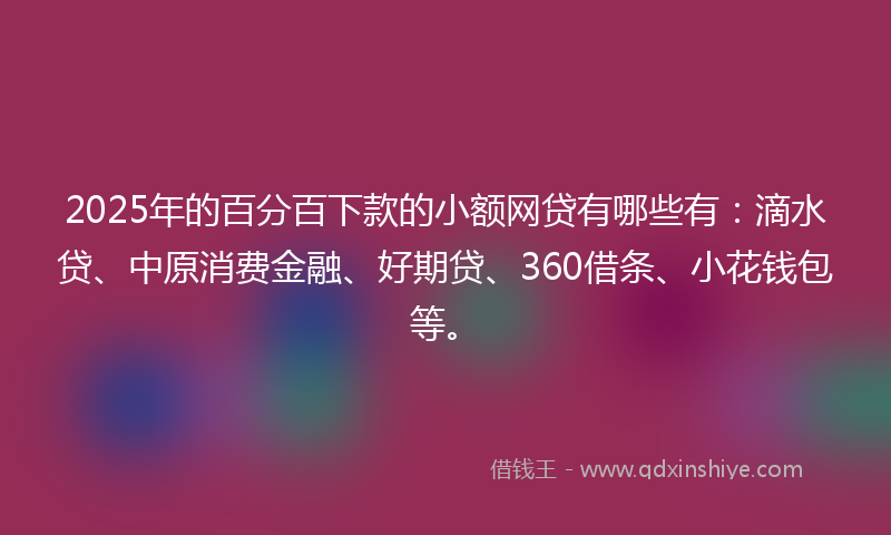 2025年的百分百下款的小额网贷有哪些有：滴水贷、中原消费金融、好期贷、360借条、小花钱包等。