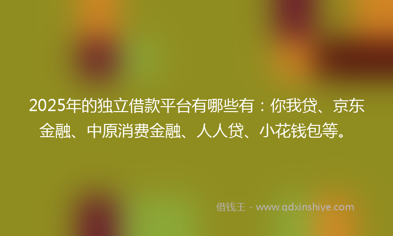 2025年的独立借款平台有哪些有：你我贷、京东金融、中原消费金融、人人贷、小花钱包等。