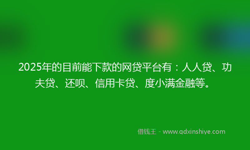 2025年的目前能下款的网贷平台有：人人贷、功夫贷、还呗、信用卡贷、度小满金融等。