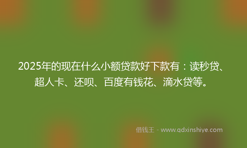 2025年的现在什么小额贷款好下款有：读秒贷、超人卡、还呗、百度有钱花、滴水贷等。