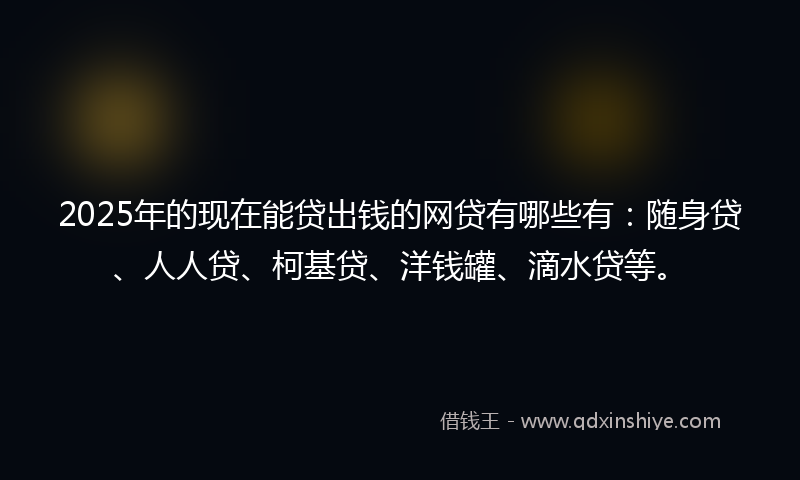 2025年的现在能贷出钱的网贷有哪些有：随身贷、人人贷、柯基贷、洋钱罐、滴水贷等。