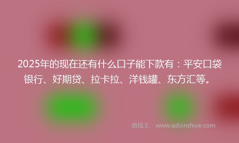 2025年的现在还有什么口子能下款有：平安口袋银行、好期贷、拉卡拉、洋钱罐、东方汇等。