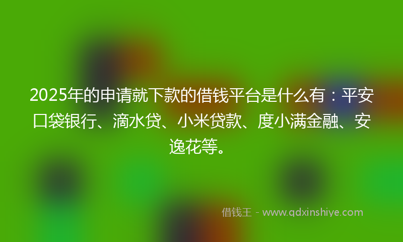 2025年的申请就下款的借钱平台是什么有：平安口袋银行、滴水贷、小米贷款、度小满金融、安逸花等。