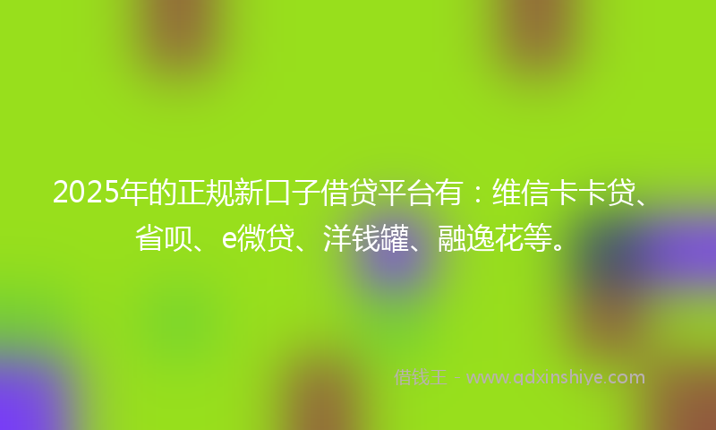 2025年的正规新口子借贷平台有：维信卡卡贷、省呗、e微贷、洋钱罐、融逸花等。