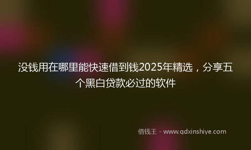 没钱用在哪里能快速借到钱2025年精选，分享五个黑白贷款必过的软件