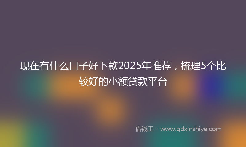 现在有什么口子好下款2025年推荐,梳理5个比较好的小额贷款平台