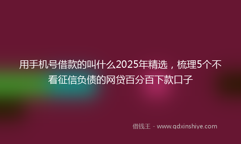 用手机号借款的叫什么2025年精选，梳理5个不看征信负债的网贷百分百下款口子